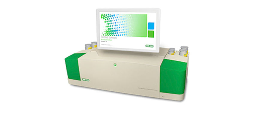 Polymerase chain reaction